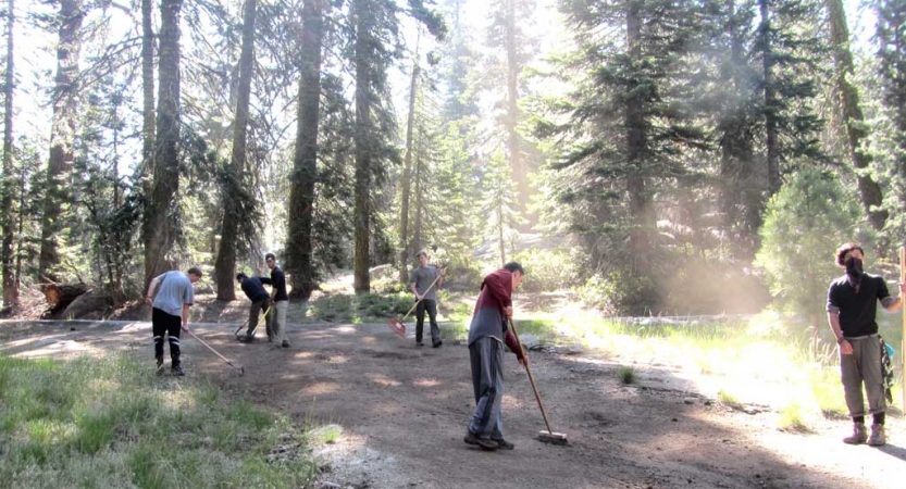 A group of people use tools to work on a trail in a wooded area. 